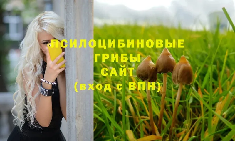 Псилоцибиновые грибы Psilocybe  что такое наркотик  Алдан 